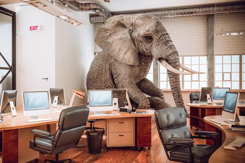 Ein Elephant sitzt als Metapher für die unerwartet hohe DSL-Rechnung im Büro.